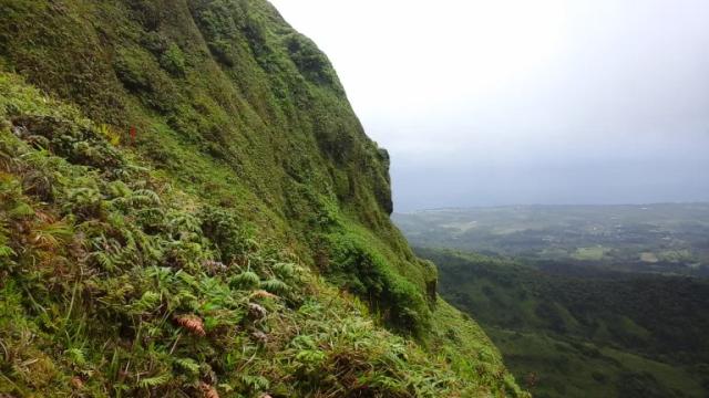 Aileron Montagne Pelée Martinique