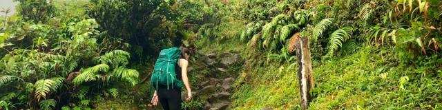 Montagne Pelée Volcan Randonnée Martinique