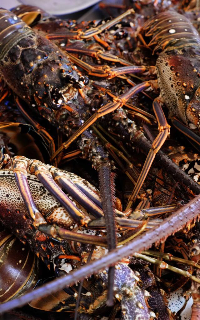 Lobster Restaurant Market Fishing Martinique