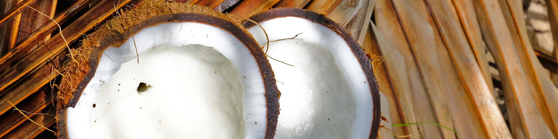 Coconut Cuisine Vauclin Martinique