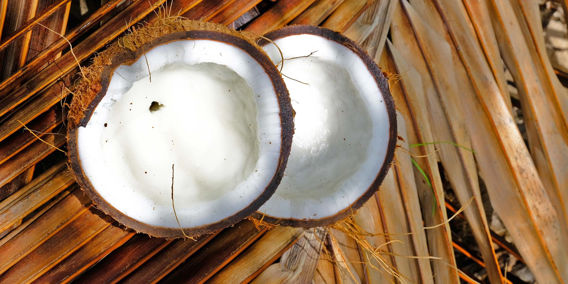 La Noix de Coco | Martinique Tour