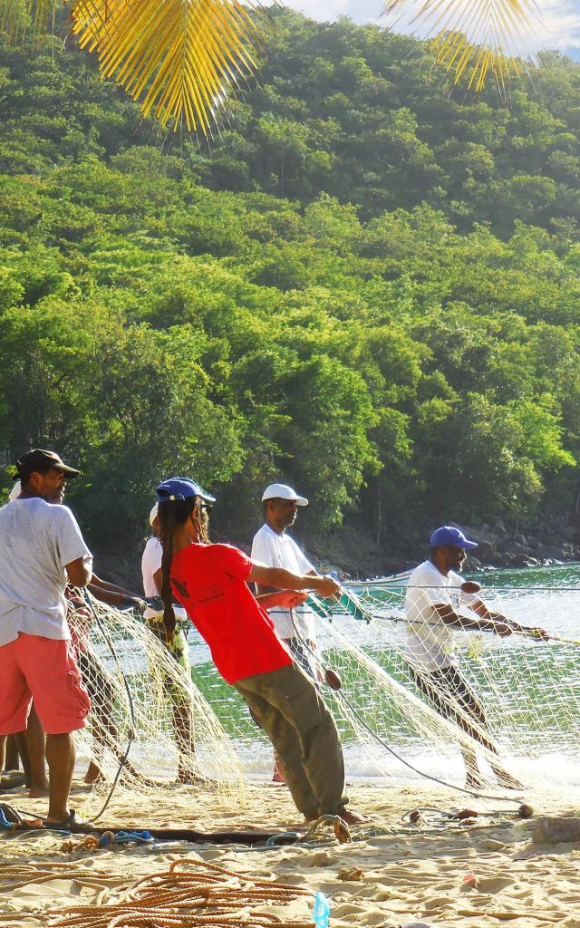 Pêche à la senne Plage de l'Anse Dufour Anses-d'Arlet Martinique