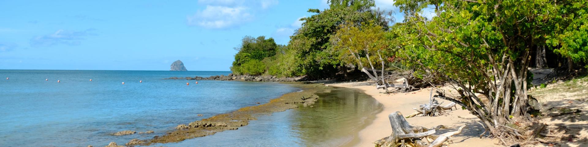 Plage de l'Anse Mabouya Sainte-Luce Martinique