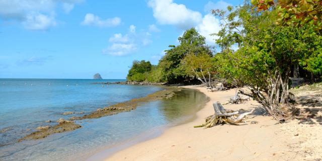 Plage de l'Anse Mabouya Sainte-Luce Martinique