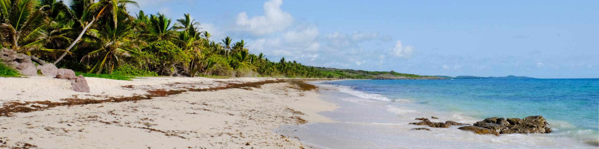 Plage de l'Anse Grosse Roche Traces des caps Vauclin Martinique