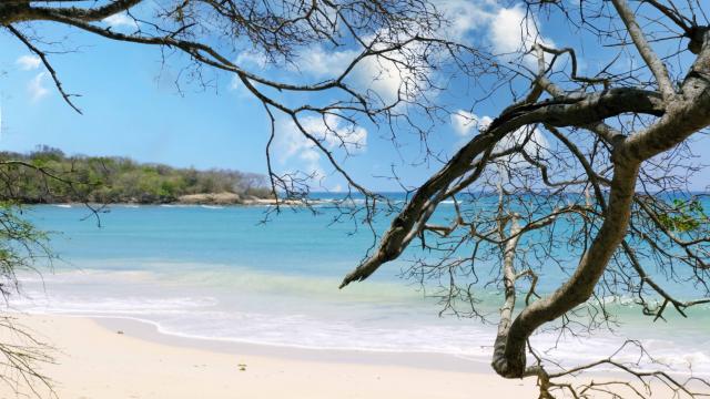 Beach of Anse Meunier Sainte-Anne Martinique