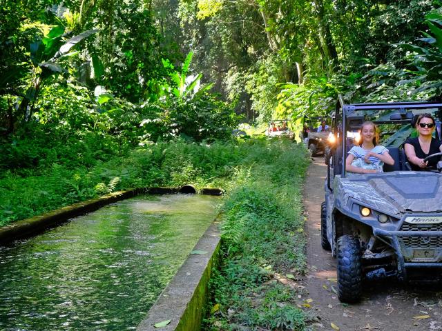 Buggy tour Basse-Pointe Martinique