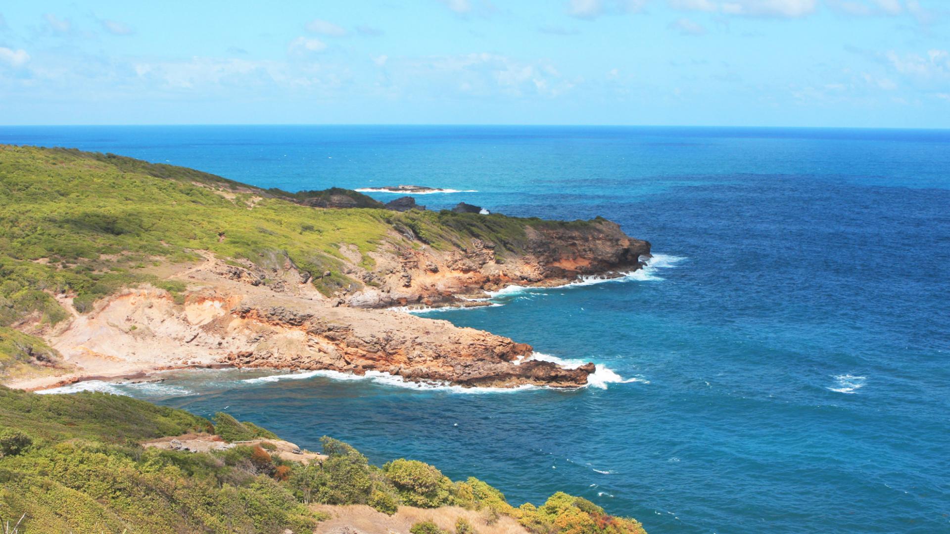 Randonnée Presqu'île de la Caravelle Tartane Trinité Martinique