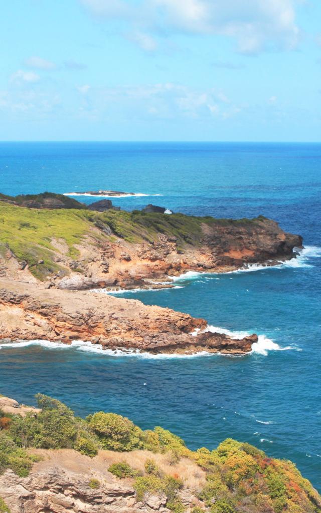 Hiking Presqu'île de la Caravelle Tartane Trinité Martinique