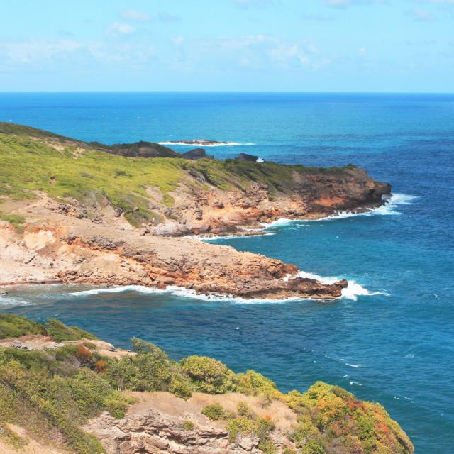 Randonnée Presqu'île de la Caravelle Tartane Trinité Martinique