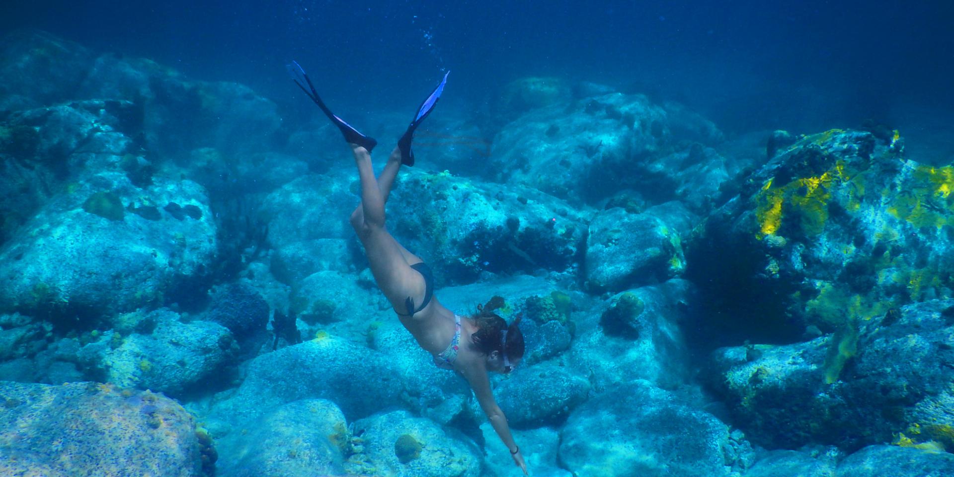 Snorkeling Plongée Palme Tuba Grande-Anse-d'Arlet Martinique