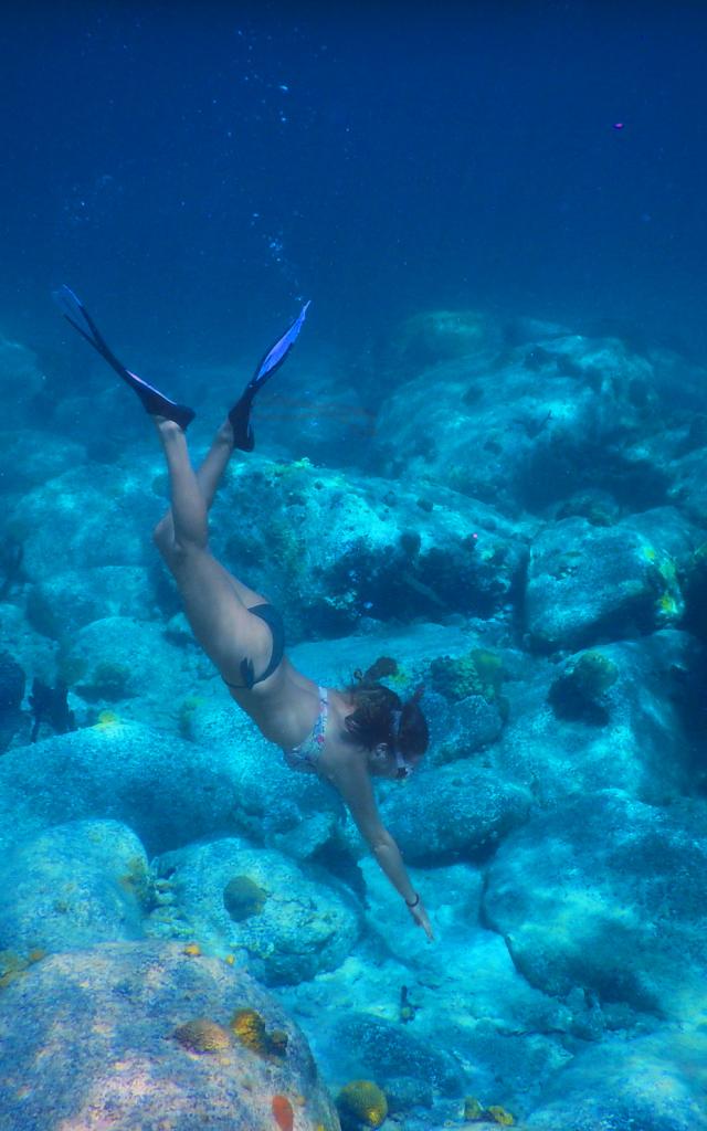 Snorkeling Plongée Palme Tuba Grande-Anse-d'Arlet Martinique