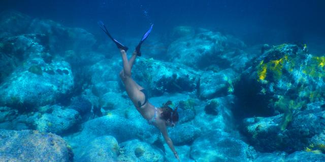 Snorkeling Plongée Palme Tuba Grande-Anse-d'Arlet Martinique