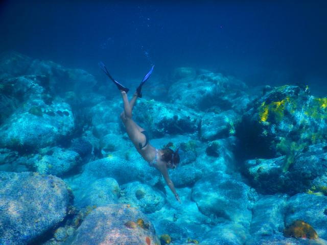 Snorkeling Plongée Palme Tuba Grande-Anse-d'Arlet Martinique