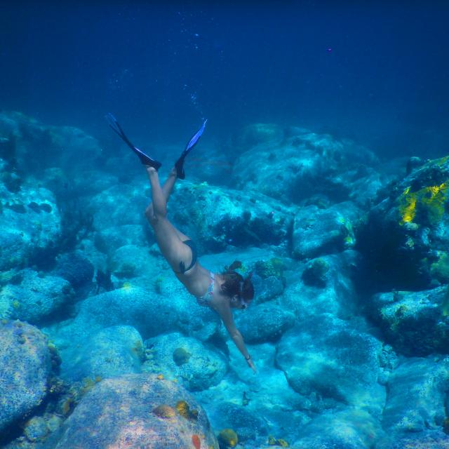 Snorkeling Plongée Palme Tuba Grande-Anse-d'Arlet Martinique