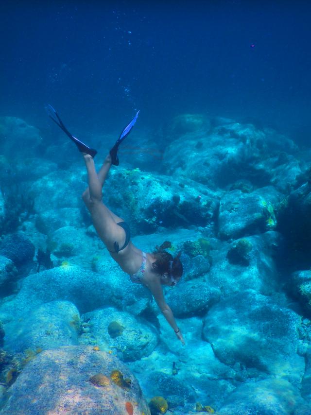 Snorkeling Plongée Palme Tuba Grande-Anse-d'Arlet Martinique