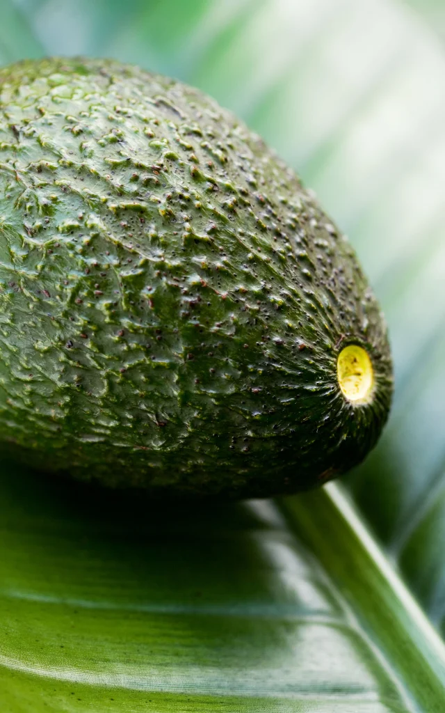 Avocat Martinique