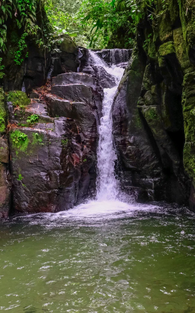 Cascade Rivière Absalon Fort-de-France Martinique