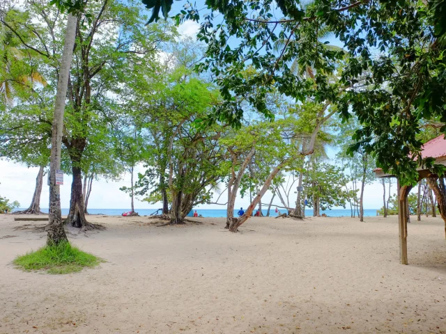 Plage de l'Anse Désert Sainte-Luce Martinique