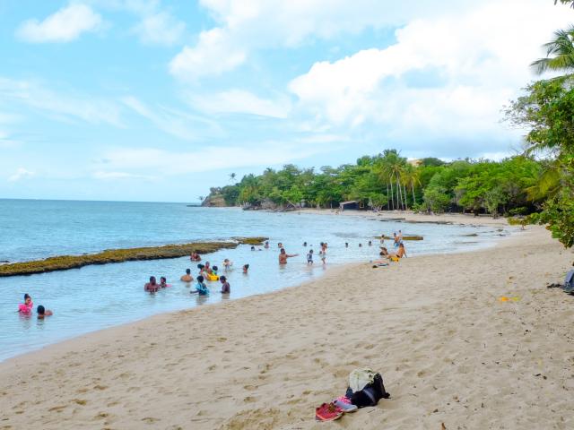 Beach of Anse Desert Sainte-Luce Martinique