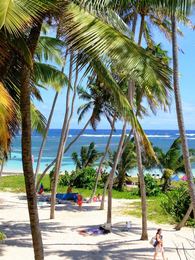 Plage de l'Anse Michel Cap Chevalier Sainte-Anne Martinique