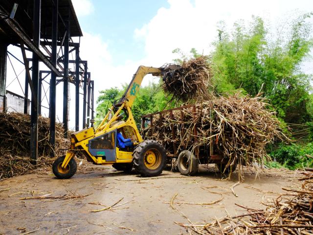 Tracteur Canne à sucre Distillerie La Favorite Lamentin Martinique