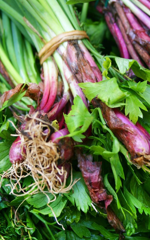 Bouquet garni Country onion Cive Parsley Thyme Spice Martinique