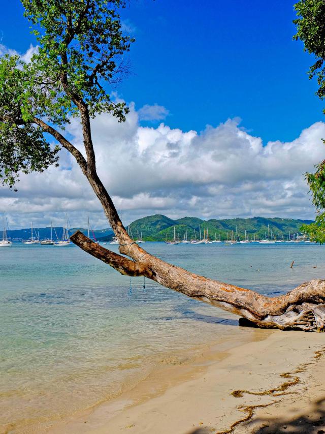 Plage de l'Anse Caritan Sainte-Anne Martinique