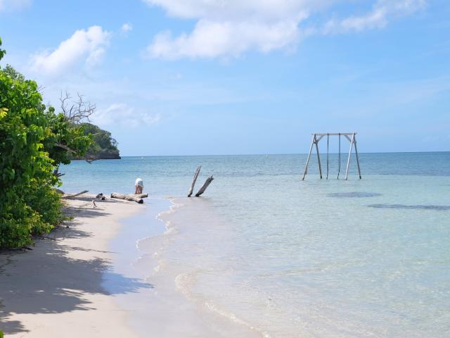 Plage l'Anse Caritan Balançoire Sainte-Anne Martinique