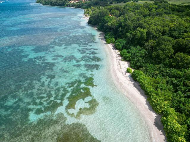 Plage de l'Anse Caritan Sainte-Anne Martinique