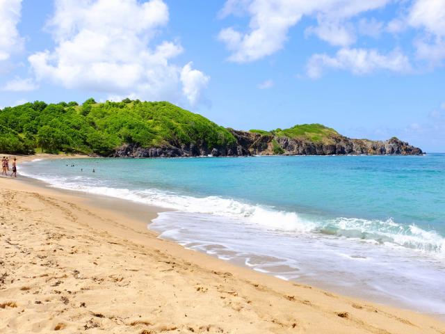 Plage de l'Anse l'Etang Tartane Trinite Martinique