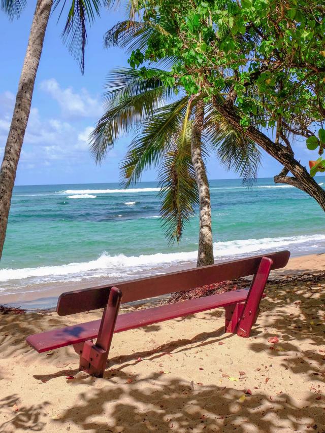 Plage de l'Anse l’Étang Tartane Trinité Martinique