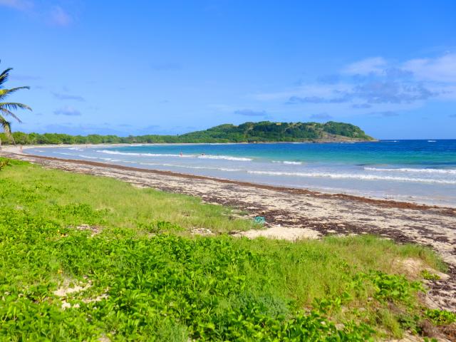 Plage de l'Anse Trabaud Baie des anglais Sainte-Anne Martinique