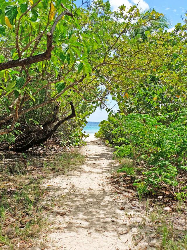 Plage de la Baie des Anglais Anse Trabaud Sainte-Anne Martinique