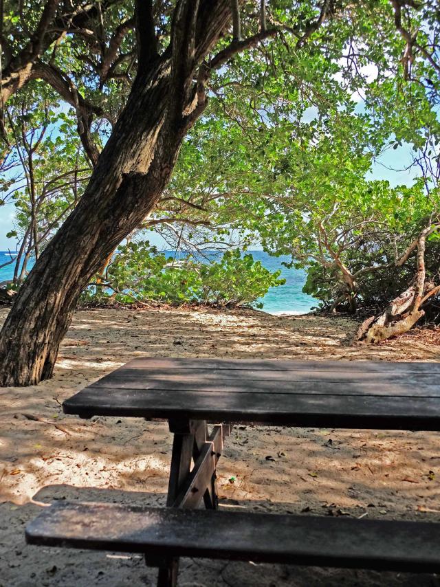 Plage de Cap Macré Sainte-Anne Martinique