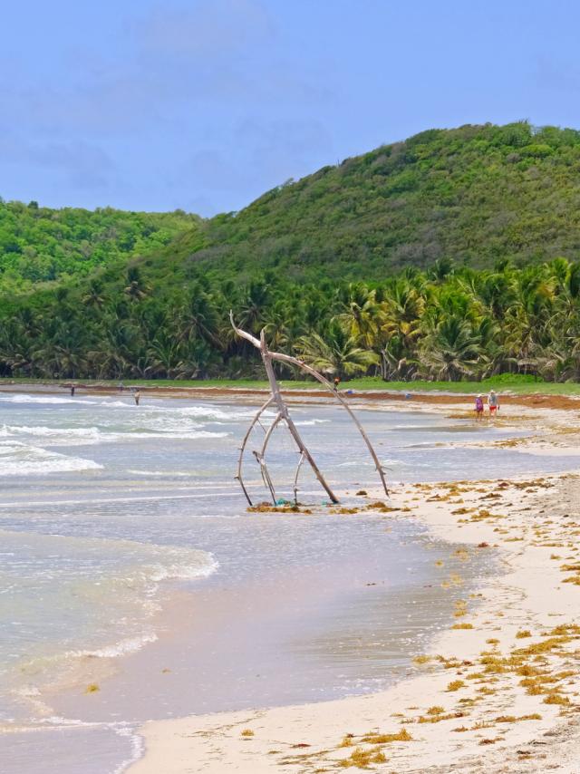 Plage Grand Macabou Vauclin Martinique