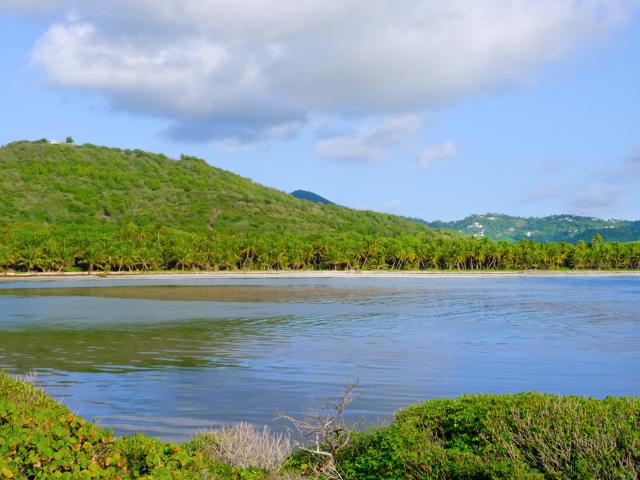 Plage Grand Macabou Vauclin Martinique