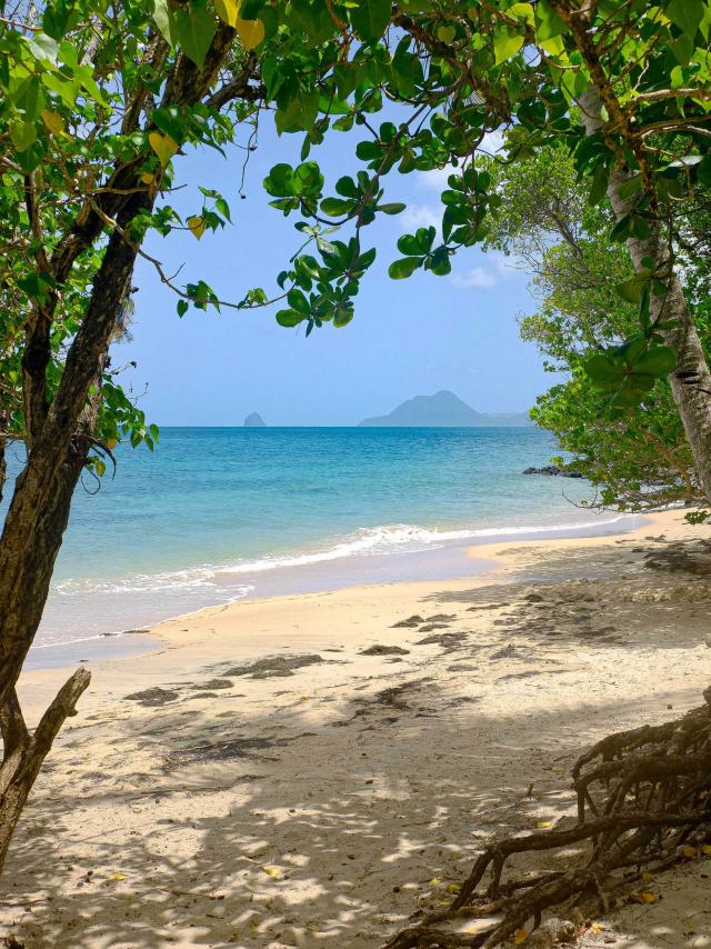 Plage de la Pointe Borgnèse Marin Martinique