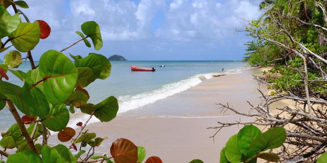 Plage Trinité Martinique