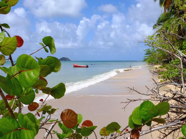 Plage Trinité Martinique