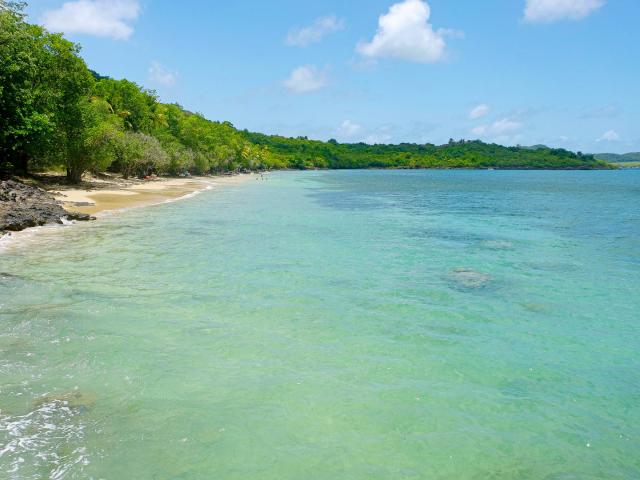 Beach of Pointe Borgnèse Marin Martinique