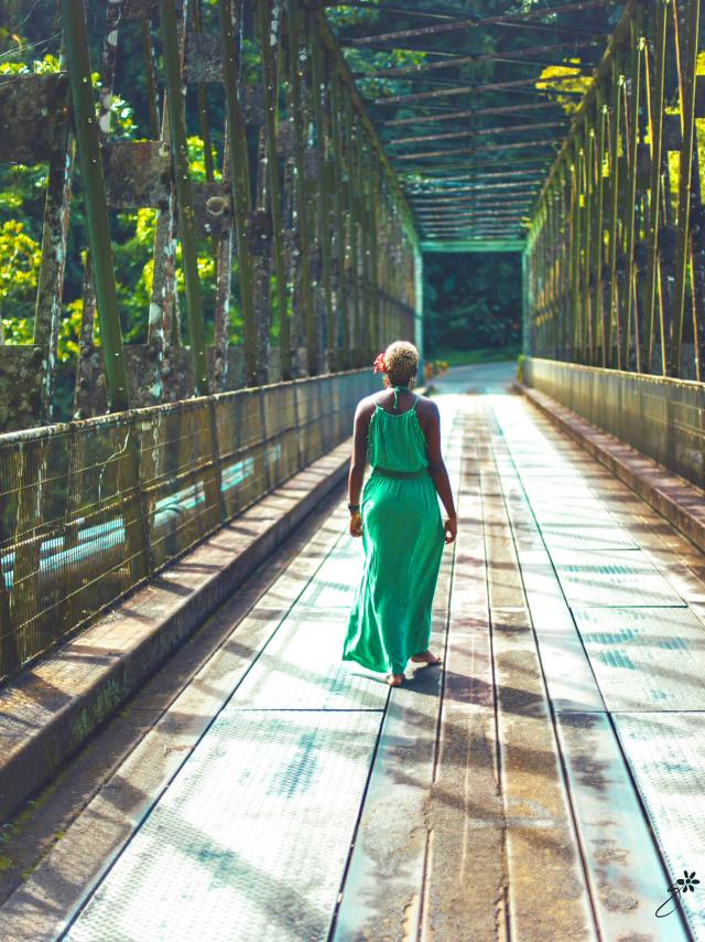 Pont Grand-Riviere Martinique