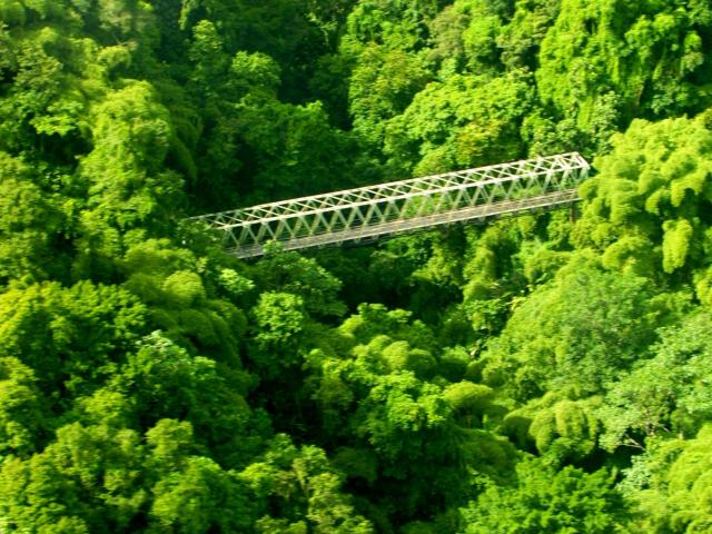 Pont Vue aérienne Grand-Riviere Martinique