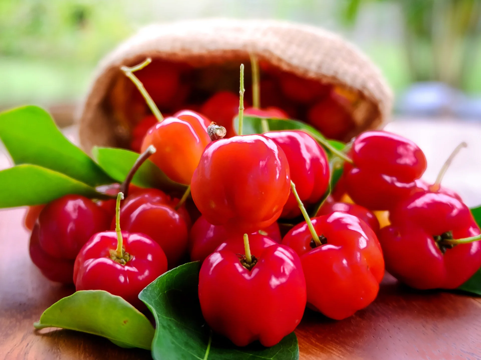 Cerises pays Fruit Exotique Martinique