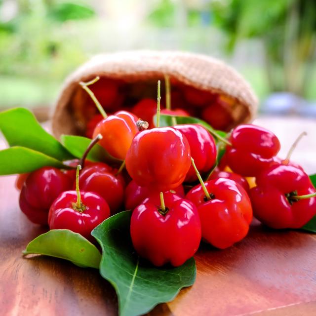 Cerises pays Fruit Exotique Martinique