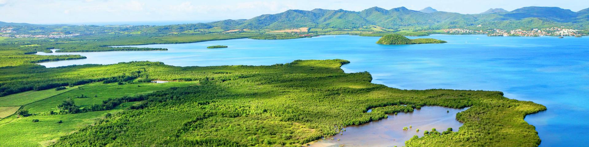 Mangrove Baie de Génipa Ducos Martinique