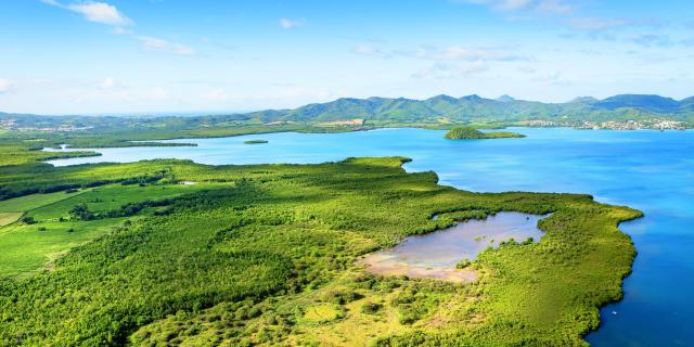 Mangrove Baie de Génipa Ducos Martinique