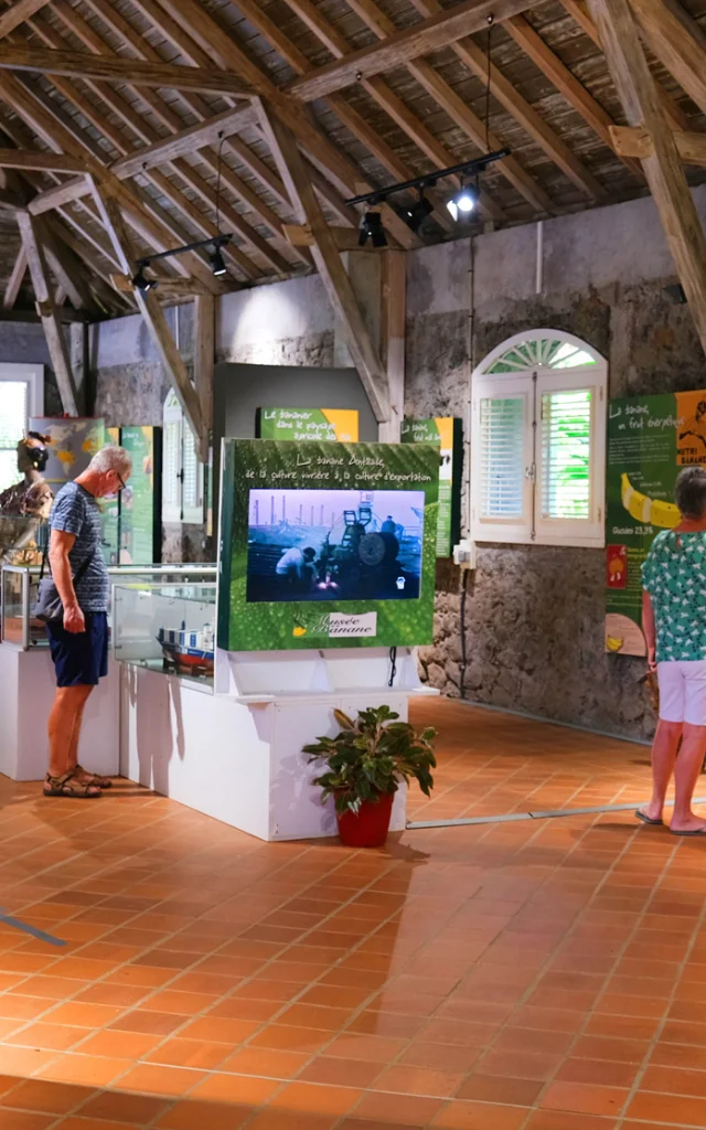 Musée de la banane Exposition Sainte-Marie Martinique