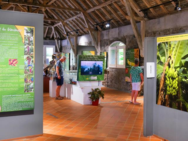 Musée de la banane Exposition Sainte-Marie Martinique