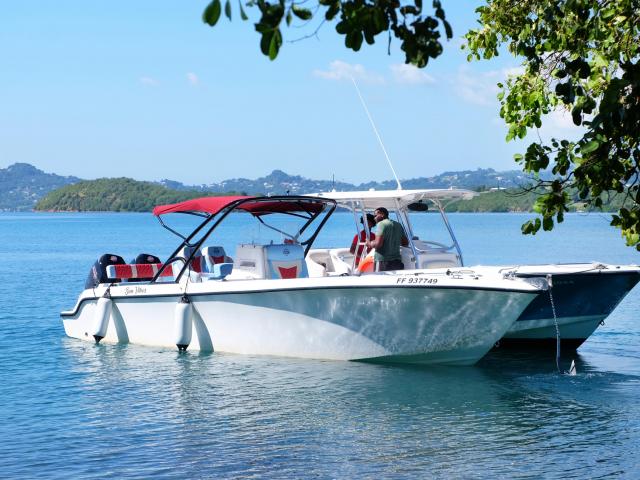 Bateaux Denis excursion François Martinique